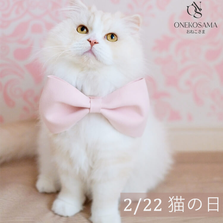 Sweet Mommy｜スウィートマミーのトピックス「【2月22日は猫の日】お  
