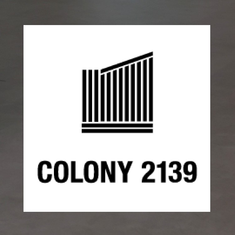 マルチエアーフレッシュナー（ルームフレグランス/お香）｜COLONY 2139