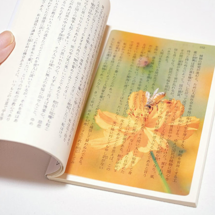 HIGHTIDE�i�n�C�^�C�h�j�̃V���b�v�j���[�X�u�{�Ɖ߂����A�������ԁB�Ǐ��O�b�Y���W�v