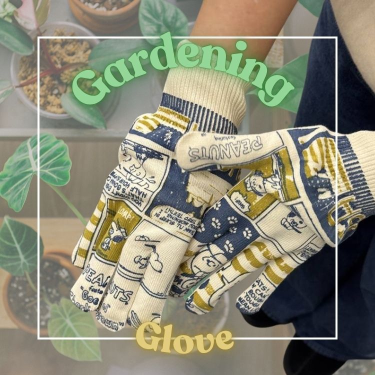 GREEN BOWL�i�O���[���{�E���j�̃V���b�v�j���[�X�u�C�����オ������R��v