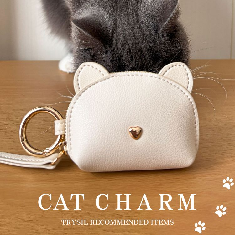 TRYSIL�i�g���C�V���j�̃V���b�v�j���[�X�u�y�ē��ׁz�l�C�̃l�R�|�[�`�`���[�����ēo���v