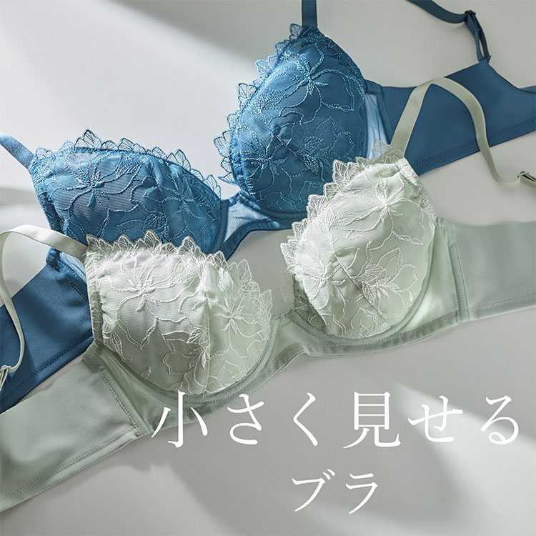 小さく見せるミニマイザーブラ レース ショーツ（ショーツ