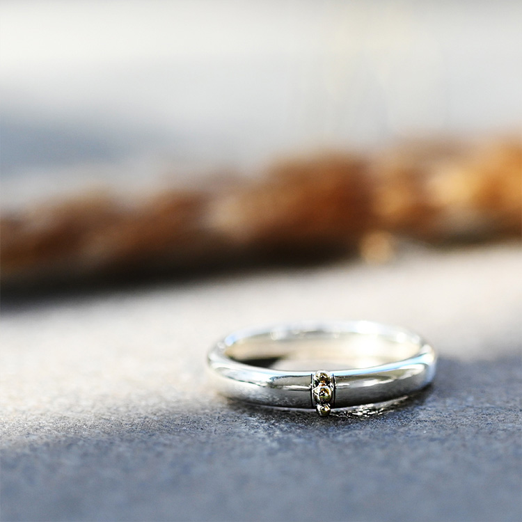 sowi�i�\�[�C�j�̃V���b�v�j���[�X�u�V���i�uExistences�v�����O�v