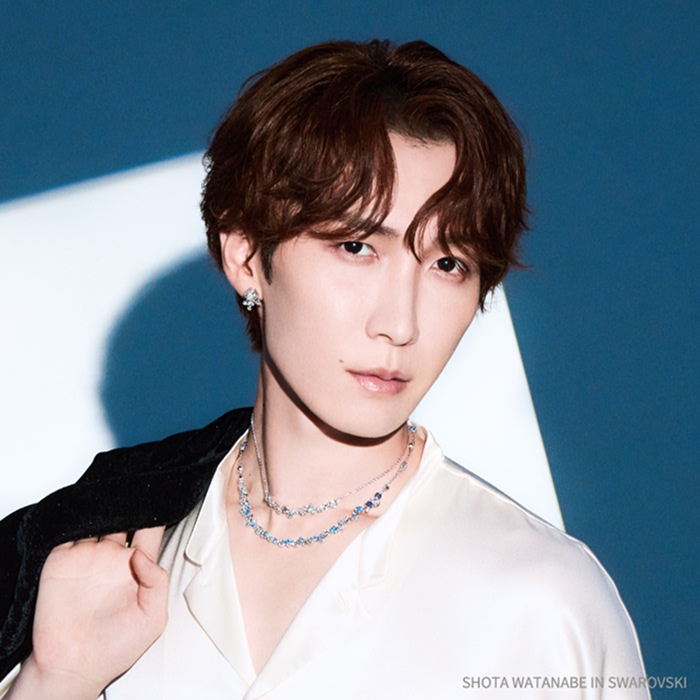 SWAROVSKIiXtXL[j̃Vbvj[XuX̖@ɖāv