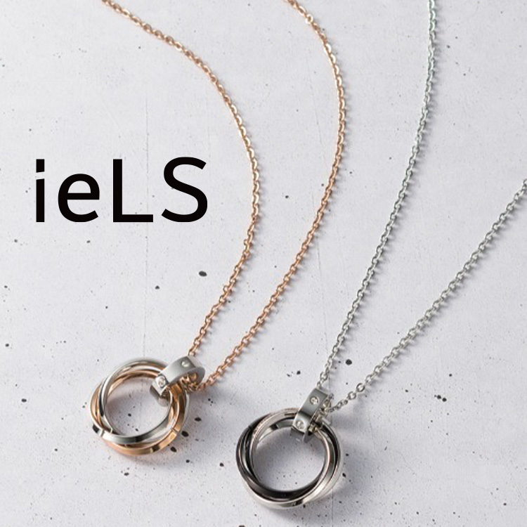 金属アレルギー対応「ieLS」12星座 コインネックレス シルバー