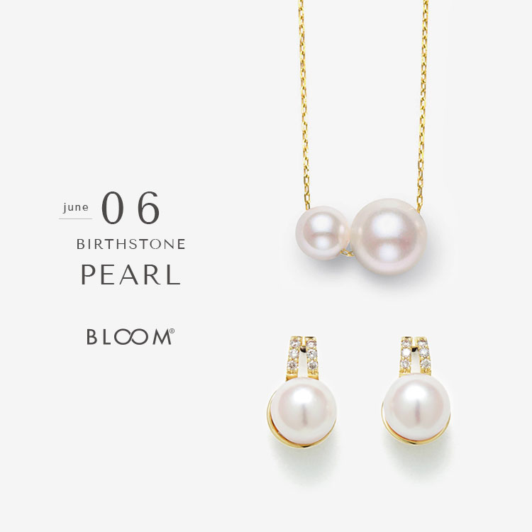 BLOOM ONLINE STOREiu[ICXgAj̃Vbvj[Xu6a΁|p[|yBLOOM ONLINE STOREzv