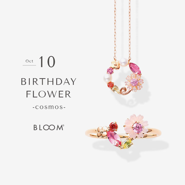 BLOOM ONLINE STOREiu[ICXgAj̃Vbvj[Xuy10aԁzRXXyBLOOM ONLINE STOREzv