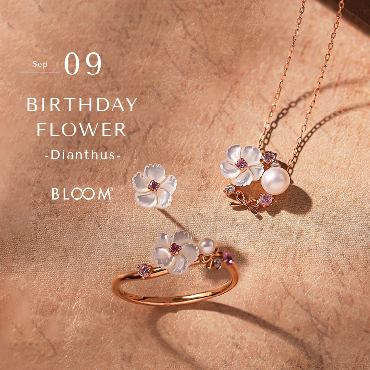 BLOOM ONLINE STORE�i�u���[���I�����C���X�g�A�j�̃V���b�v�j���[�X�u�y9���a���ԁz�i�f�V�R�yBLOOM ONLINE STORE�z�v