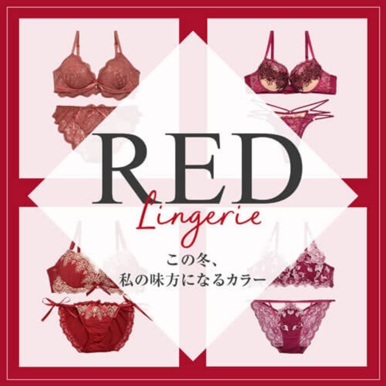 dariali_Aj̃Vbvj[Xu~̎IbhWF[Wv