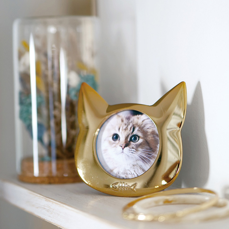 SiNCERE�i�V���V�A�j�̃V���b�v�j���[�X�u��D���ȃ��������ƃl�R�������A�N�Z�T���[�̂悤�ɏ���v