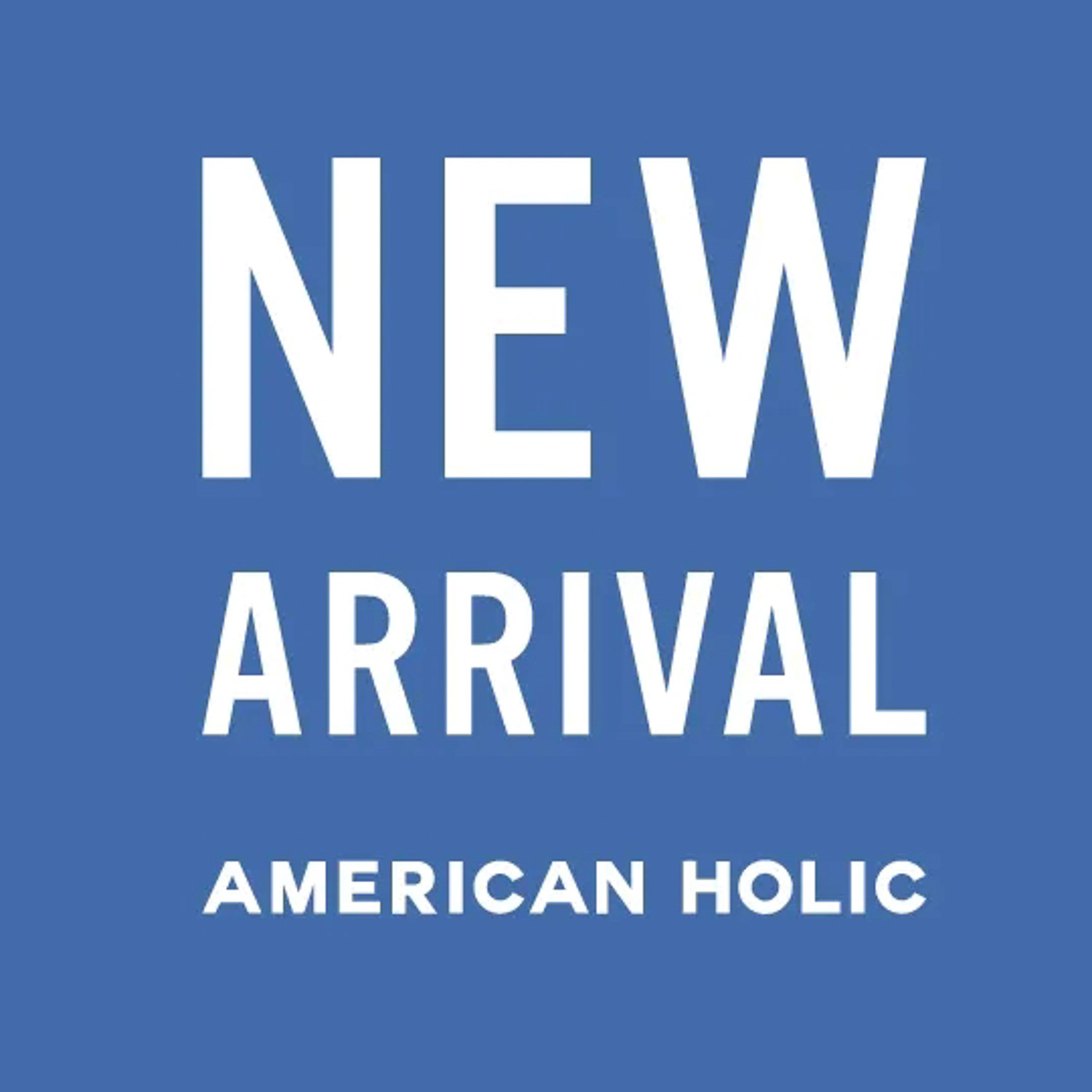 AMERICAN HOLIC�i�A�����J���z���b�N�j�̃V���b�v�j���[�X�u�yNEW ARRIVAL�z �v