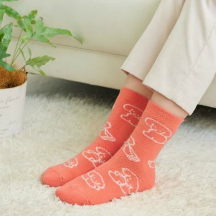 GUNZEiO[j̃Vbvj[XuyUCHI-COLLE/E`RzlCCXg[^[uĂ炨Ȃ݂vR{V[ŶЉv