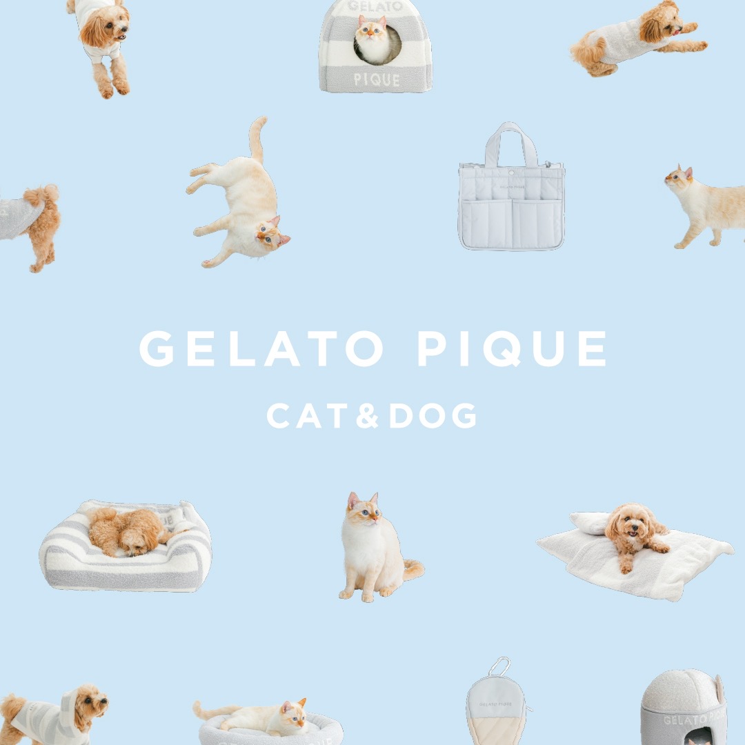 gelato pique｜ジェラート ピケのトピックス「【本日発売】GELATO