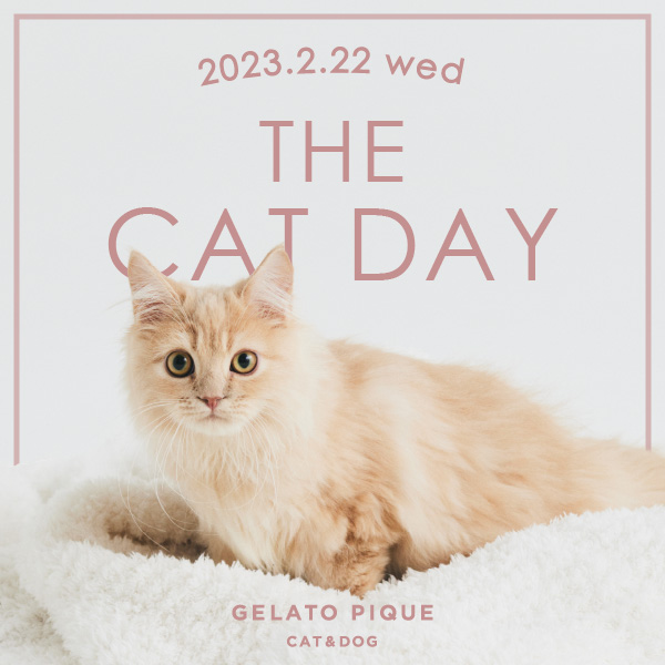 gelato pique｜ジェラート ピケのトピックス「【2.22】猫の日に