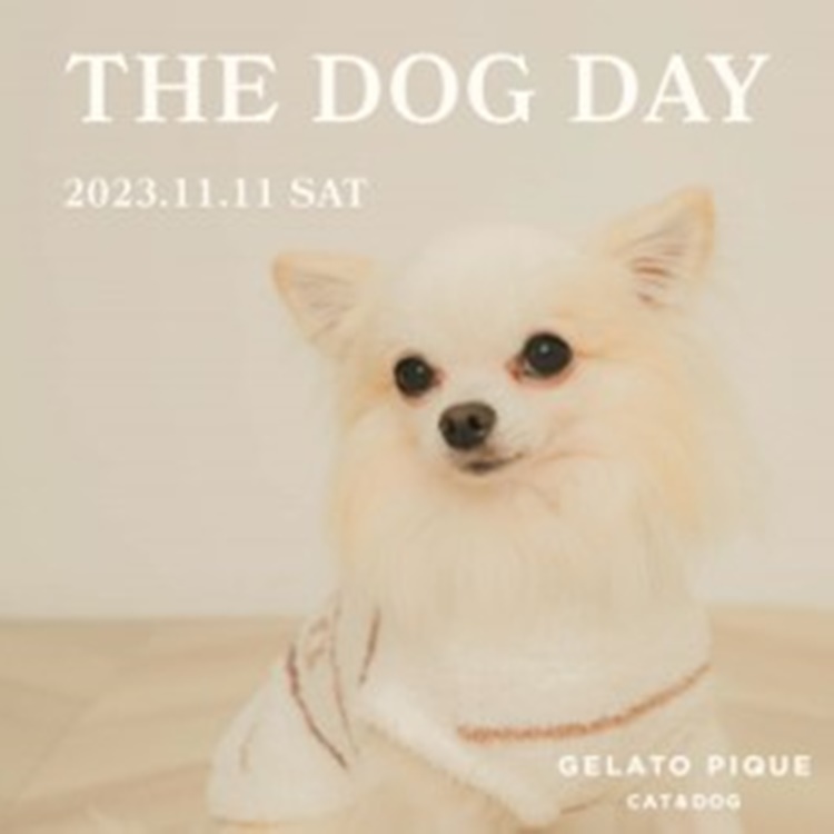 gelato pique｜ジェラート ピケのトピックス「THE DOG DAY-2023.11.11