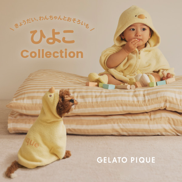 gelato pique｜ジェラート ピケのトピックス「【本日販売開始】きょうだい、わんちゃんとおそろいも＊ひよこcollection」  ZOZOTOWN