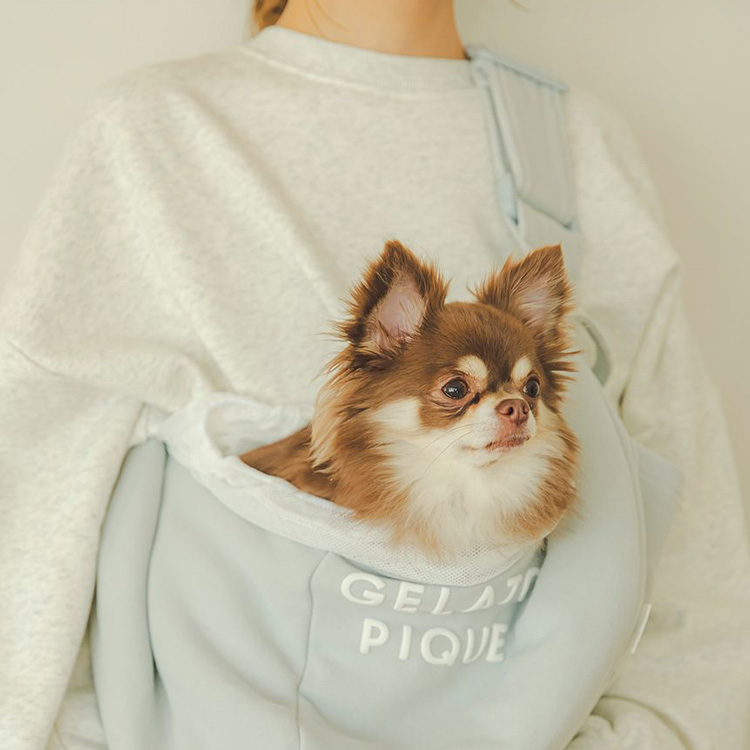 gelato pique｜ジェラート ピケのトピックス「【CAT＆DOG】お