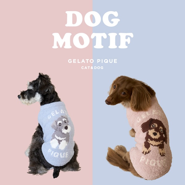 gelato pique｜ジェラート ピケのトピックス「【GELATO PIQUE CAT