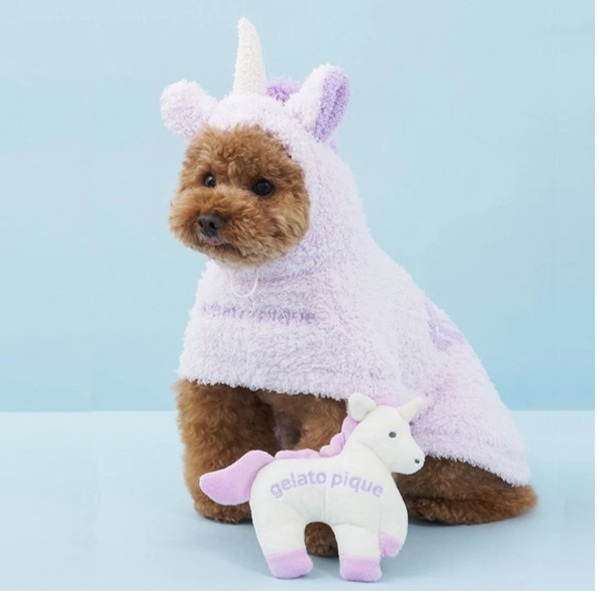 gelato pique｜ジェラート ピケのトピックス「【RECOMMEND】PONY