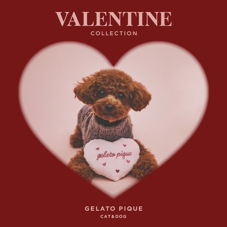 gelato pique｜ジェラート ピケのトピックス「【販売スタート】GELATO