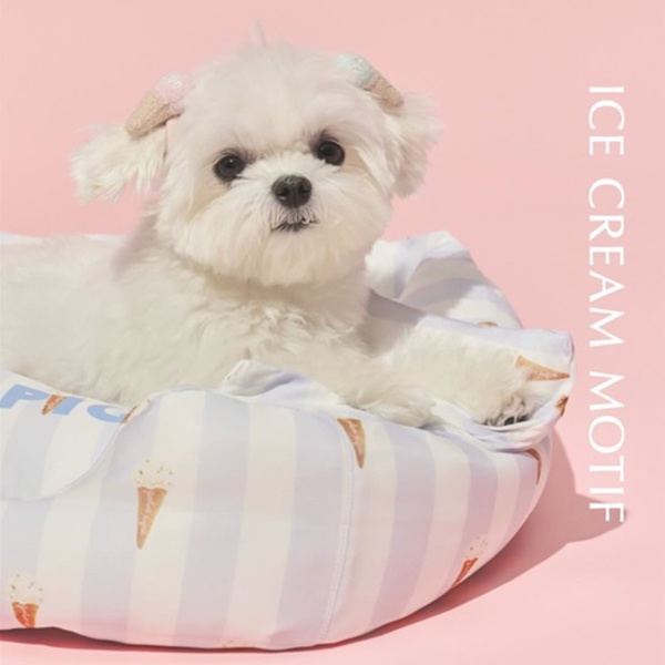 gelato pique｜ジェラート ピケのトピックス「【GELATO PIQUE CAT