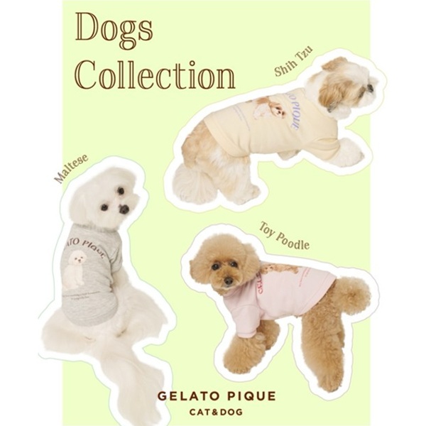 gelato pique｜ジェラート ピケのトピックス「＼GELATO PIQUE CAT