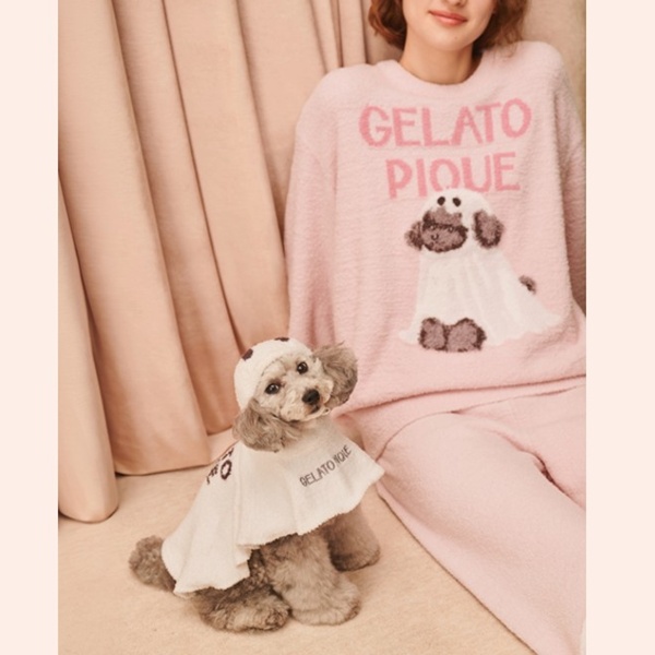 gelato pique�i�W�F���[�g�@�s�P�j�̃V���b�v�j���[�X�u�_RECOMMEND�^Halloween COLLECTION 2026�v