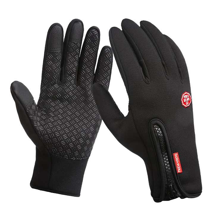 TeddyShop�i�e�f�B�V���b�v�j�̃V���b�v�j���[�X�u�yNEW�zMens globe 2024.�v