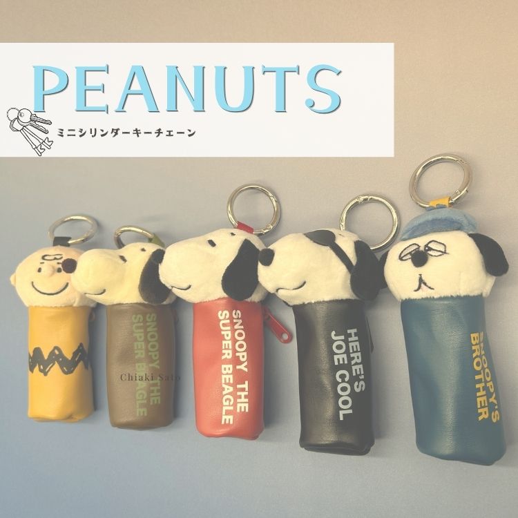 A BAG OF CHIPS�i�A �o�b�O �I�u �`�b�v�X�j�̃V���b�v�j���[�X�u�yPEANUTS�z�}�X�R�b�g�Ɍ����āA���̓|�[�`!?���\�V�����_�[�`�F�[�����v