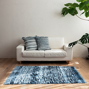 BRIDiubhj̃Vbvj[Xu-Ԃɖ@Afjfނ̓ʂȃO-v