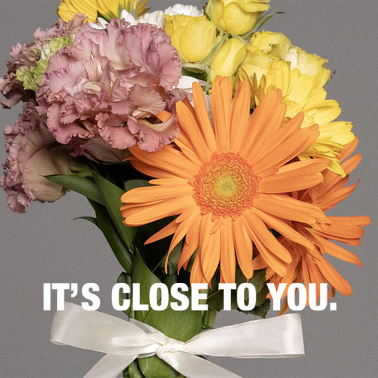 the HOUSE�i�U�n�E�X�j�̃V���b�v�j���[�X�u�yPEARLY GATES�zNEW ARRIVAL�v