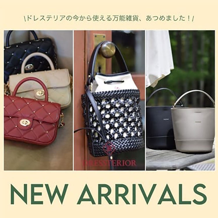 DRESSTERIORihXeAj̃Vbvj[XuNEW GOODSbDRESSTERIORv