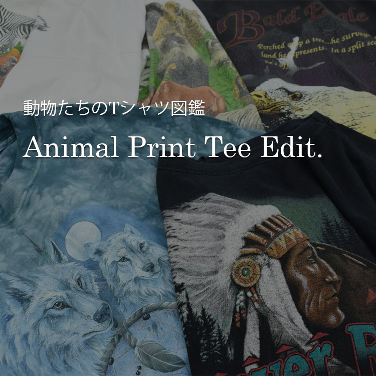 LABORATORY R�i���{���g���[�A�[���j�̃V���b�v�j���[�X�u�y����������T�V���c�}�ӁzAnimal Print Tee Edit.�v