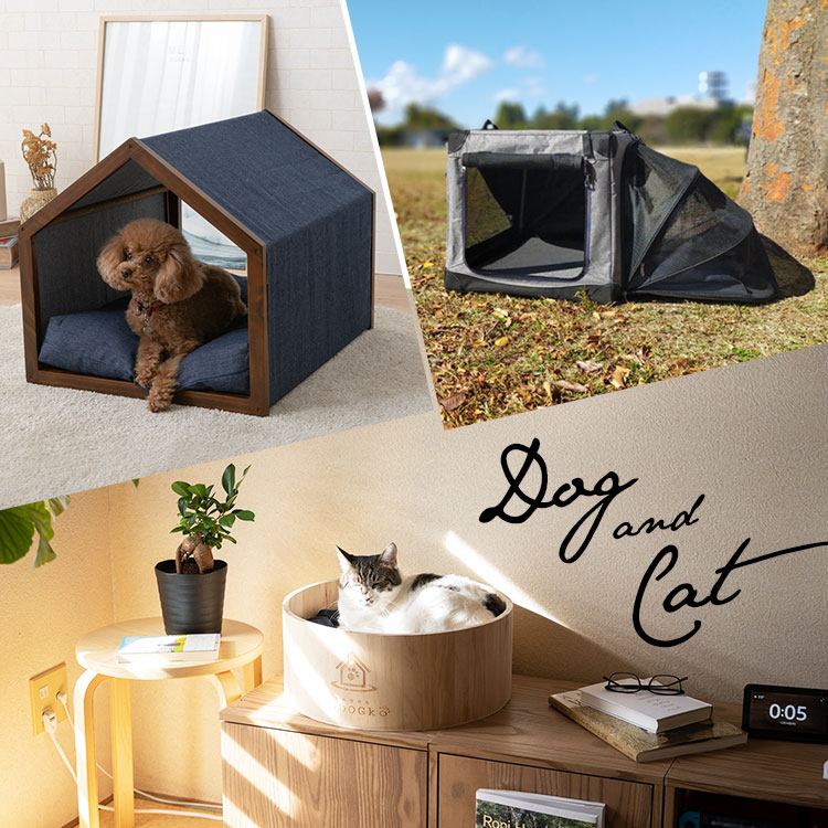 EMOOR�i�G���[���j�̃V���b�v�j���[�X�u�yEMOOR�z��؂ȃ��������A�˂������̂��߂� �v