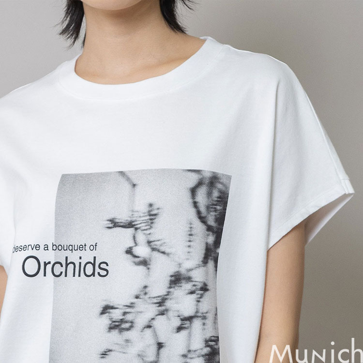 Munich�i�~���[�j�b�N�j�̃V���b�v�j���[�X�u�yPHOTO Tee�z���V�[�Y���̐V��PHOTO TEE�����Љ�܂��B�l�C�ł��B�v