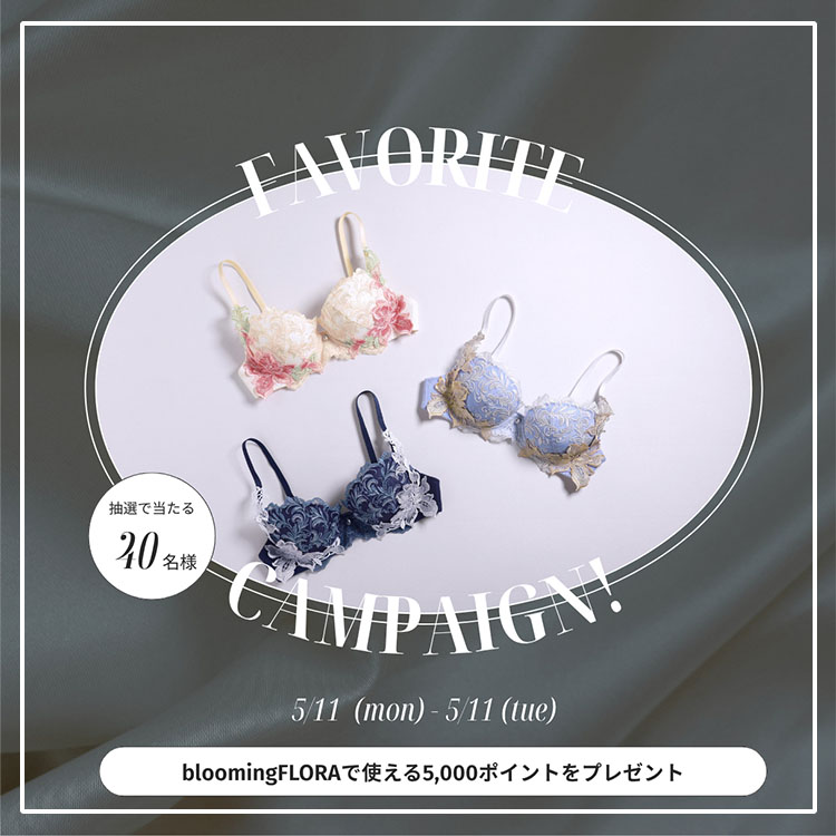 テッチャンさま専用  ビスチェ ガーターストッキング  新品  5点 アンブラ Harmony in Bloom チェック柄ガーターストッキング ANNEBRA
