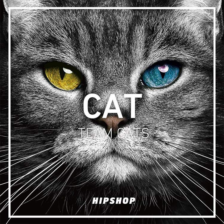 HIPSHOP｜ヒップショップのトピックス「幸運の使者のまさに猫様  