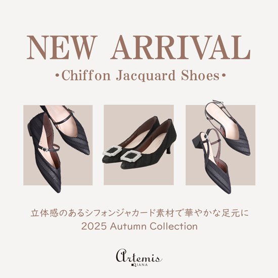 美品　着用1回　artemis by DIANA 24 ネイビー ✨未使用級✨ DIANA ブラック レザー ポインテッドトゥ パンプス