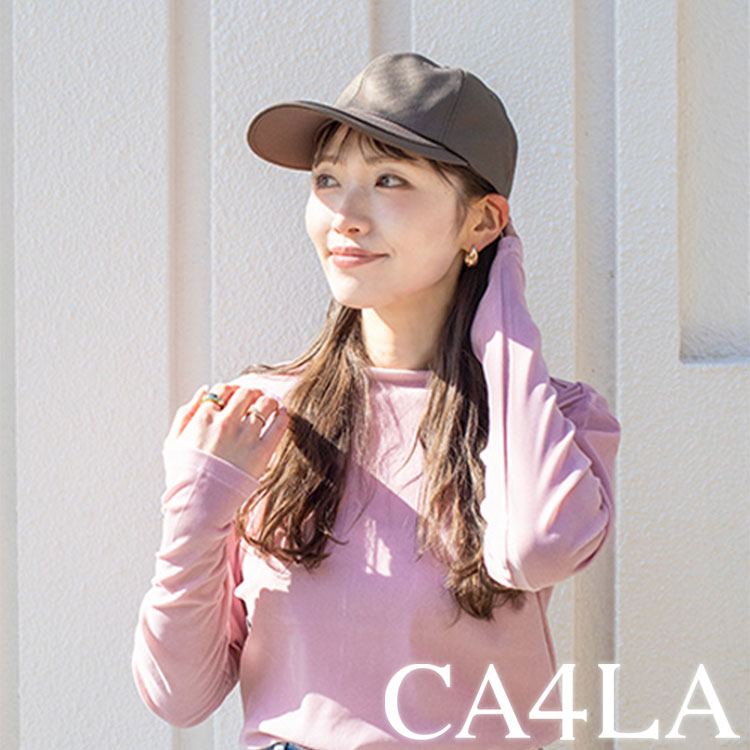 CA4LAiJVj̃Vbvj[XuyCA4LAzG߂ɂgI􂦂ACev