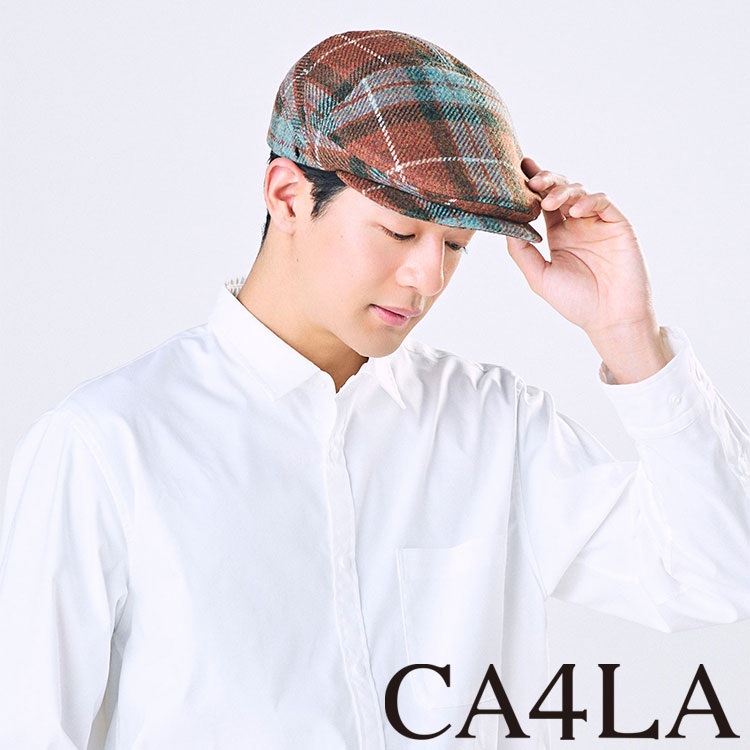 CA4LAiJVj̃Vbvj[XuyCA4LAz񒍖ڂ̃n`Ov