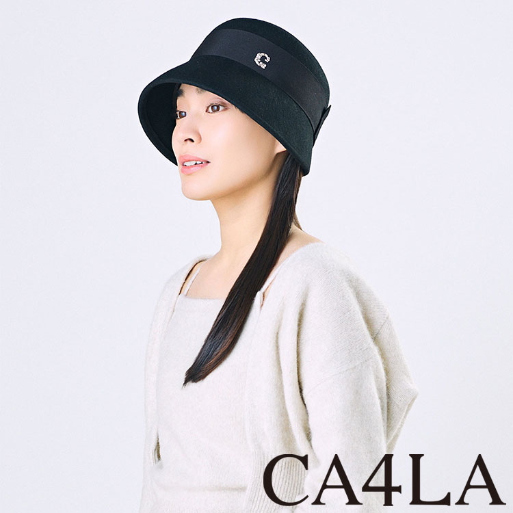 CA4LAiJVj̃Vbvj[XuyCA4LAziȕ͋CZtFgACev