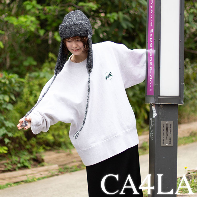 CA4LAiJVj̃Vbvj[XuyCA4LAzzIC}tEtACev