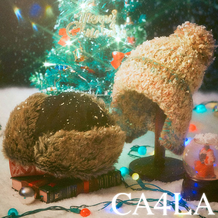 CA4LAiJVj̃Vbvj[XuyCA4LAzzIC}tEtACev