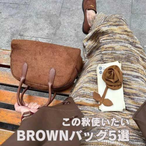 mebolei{j̃Vbvj[Xus mebole tBROWN BAGv