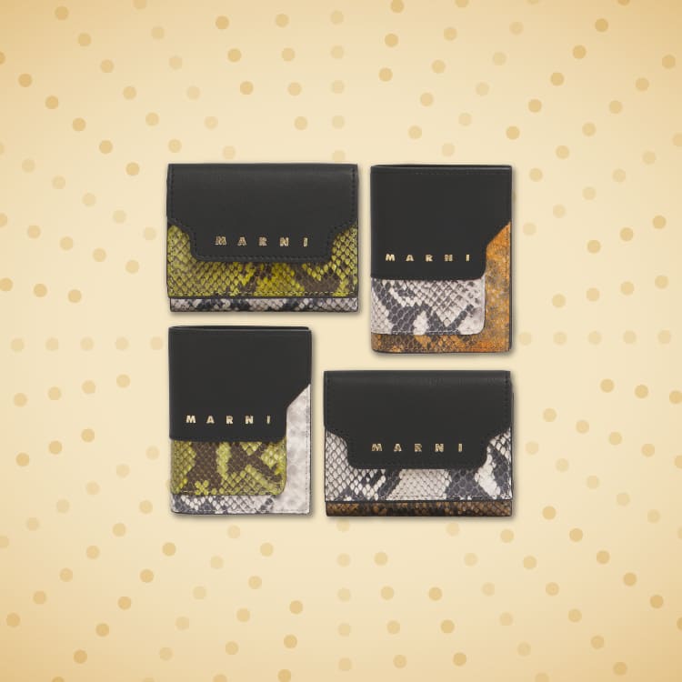 MARNI / マルニ スクエアフラップウォレット（財布）｜MARNI（マルニ