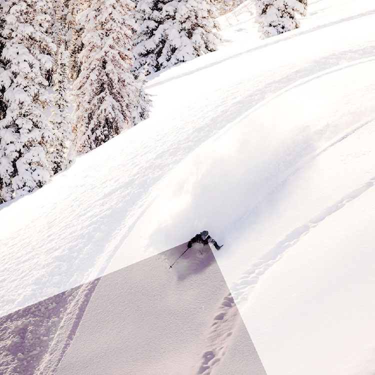 LUXOTTICA�i���b�N�X�I�e�B�J�j�̃V���b�v�j���[�X�u�I�[�N���[�X�m�[�R���N�V�����v