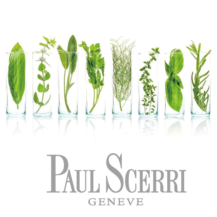 PAUL SCERRI / ポールシェリー シルエット ハイドロ バスオイル（入浴剤・バスケア）｜PAUL SCERRI（ポールシェリー）のファッション通販  - ZOZOTOWN