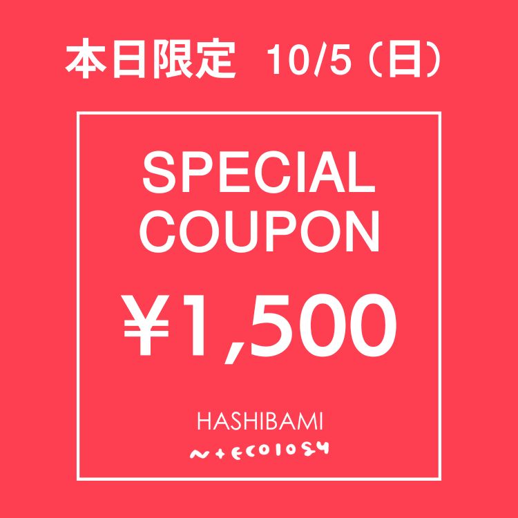 HASHIBAMI / N+EcologyinVo~/lRW[j̃Vbvj[Xu{ ! 1500~OFFN[|v