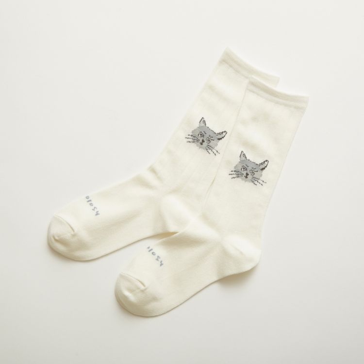 HASHIBAMI / N+EcologyinVo~/lRW[j̃Vbvj[Xu~ɂ҂ ! قLObYv