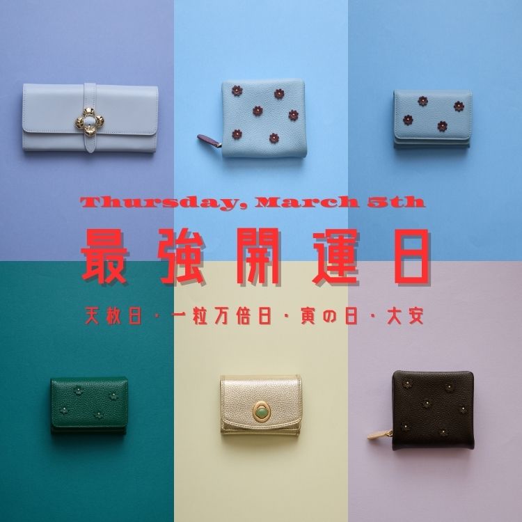 HASHIBAMI / N+Ecology�i�n�V�o�~/�l�R���W�[�j�̃V���b�v�j���[�X�u�y3/5�͍ŋ��J�^���z�V�F�E�H���b�g���X���� ! �v